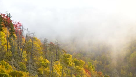 Ich-gegen-up-ab-Herbst-Laub-durch-Nebel,-um-in-Stimmung