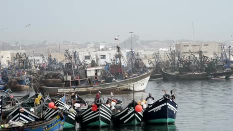 Fischerboote-im-Hafen-von-Agadir