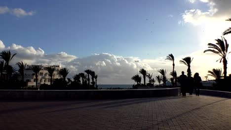 Tropischen-Strandpromenade-am-Abend