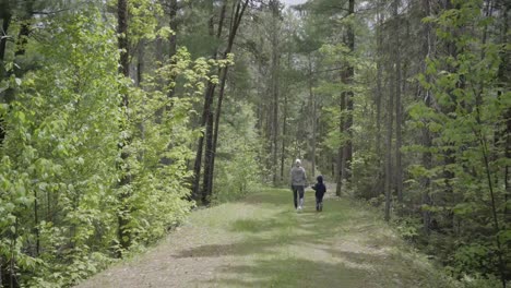 madre-y-el-niño-caminando-en-el-bosque-ontario-naturaleza-Canadá