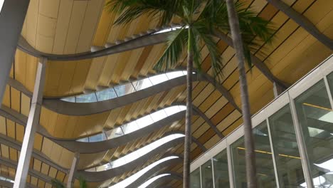 singapore-day-light-office-building-roof-palm-tops-up-walk-view