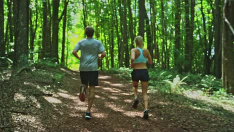 Jogging-in-the-Forest