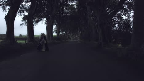 4k-Fantasy-Shot-in-Dark-Hedges,-Queen-Walking-(long-shot)