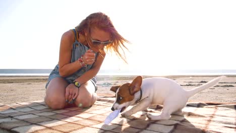 stilvolle-junge-Hipster-spielenden-Hund-Welpen-jack-Russell-am-Strand,-Slow-motion