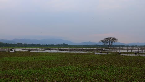 Lago-apung,-regencia-de-Klaten,-provincia-de-java-Central