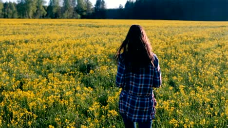 Unrecognizable-woman-brunette-walks-on-the-field-of-yellow-flowers.-Back-view.