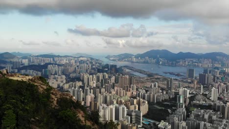 roca-León-en-hong-kong-con-el-fondo-de-la-ciudad