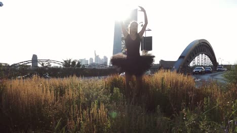 Ballet-Dancer-Performing-in-a-Roundabout