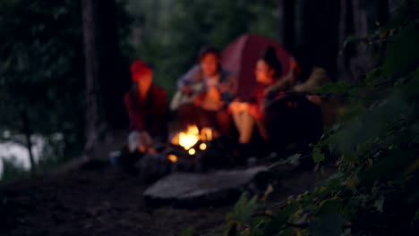 Unscharfe-Aufnahmen-von-romantischen-Jugendliche-Reisende-sitzen-in-der-Nähe-von-Lagerfeuer-im-Wald,-Gitarre-spielen-und-singen.-Fokus-auf-Ast-mit-Blättern-im-Vordergrund.