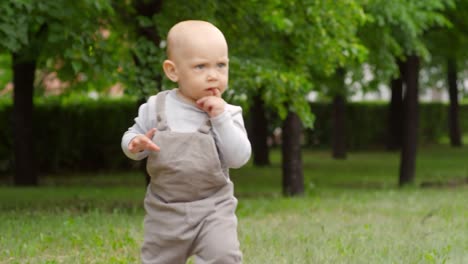 Bebé-quisquilloso-Toddling-en-Parque