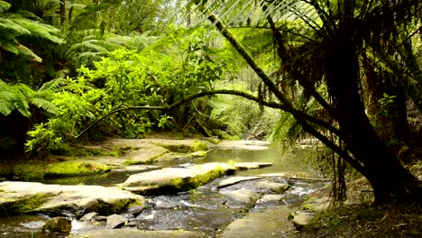 Otway-nationalpark