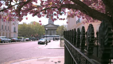 City-street-in-spring,-Marylebone,-London