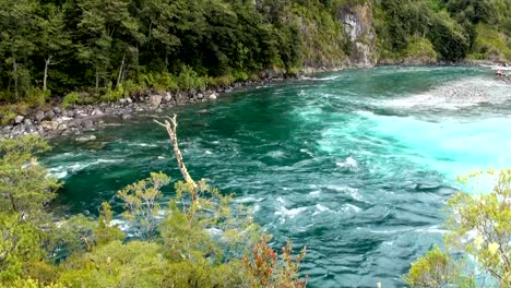 View-of-Vicente-Perez-Rosales-National-Park---Chile