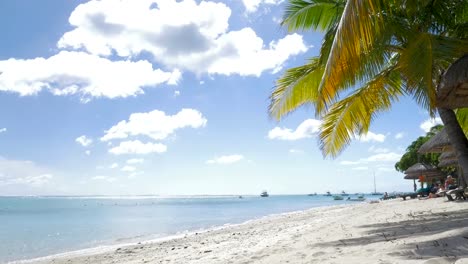 Tropical-resort-and-woman-sunbathing-with-tablet-computer