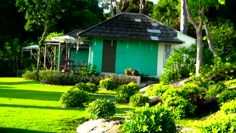 Casas-de-turismo-de-una-sola-planta-inmersas-en-la-vegetación-de-la-isla.