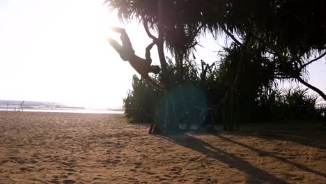 Young-guy-demonstrates-human-flag-at-sea-beach.-Athletic-man-doing-gymnastics-elements-on-palm-tree-at-exotic-ocean-shore.-Male-sportsman-performs-strength-exercises-during-workout-outdoor