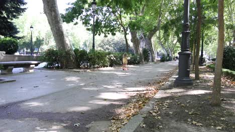 niña,-andar-en-skate-de-manillar-en-el-Parque