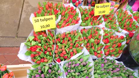 Die-Draufsicht-der-Tulpe-Blumen-in-den-Blumenmarkt