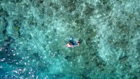 v04074-Aerial-flying-drone-view-of-Maldives-white-sandy-beach-2-people-young-couple-man-woman-snorkeling-swimming-diving-on-sunny-tropical-paradise-island-with-aqua-blue-sky-sea-water-ocean-4k