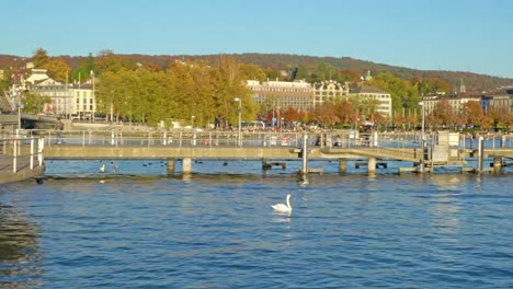 Panorama-de-la-orilla-del-lago-de-Zurich,-Suiza