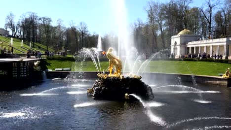 fountain-in-the-center-of-the-park