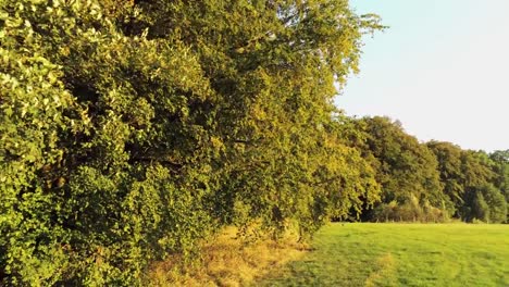 Sonnenuntergang-Landschaft-Eifel-fliegen-vom-Baum-Herbst-Rahmenfarbe