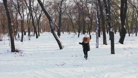 Young-woman-running-with-Jack-Russell-terrier-in-winter-time-through-park,-aerial-view,-drone-footage