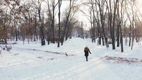 Young-woman-running-with-Jack-Russell-terrier-in-winter-time-through-park,-aerial-view,-drone-footage
