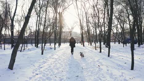 Young-woman-running-with-Jack-Russell-terrier-in-winter-time-through-park,-aerial-view,-drone-footage