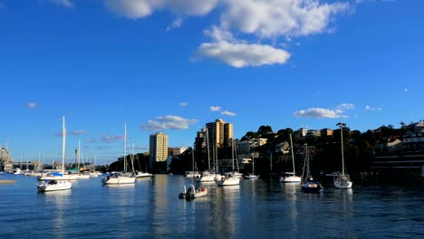 Toma-panorámica-de-la-bahía-de-lavanda-y-puente-del-puerto-de-sidney-(4-k-UHD-a/HD)