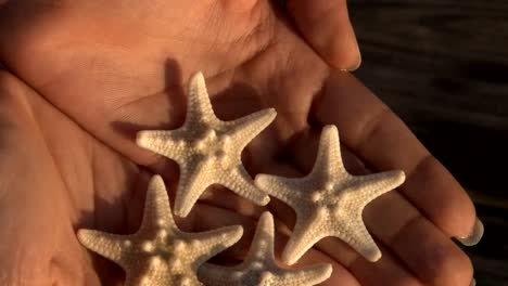 Young-latina-woman-holding-starfish