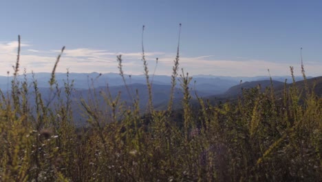 Las-montañas-Blue-Ridge-vista-exterior-de-Asheville,-Carolina-del-Norte,-dolly-shot