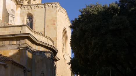 tarragona-cathedral-sun-light-tree-4k