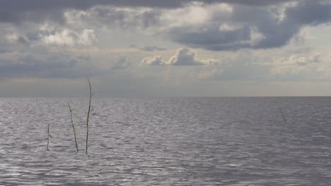 Vereinigte-Staaten-Sommer-Himmel-See-Panorama-\"-4-k,-Florida