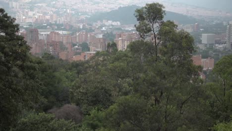 Medellin-city