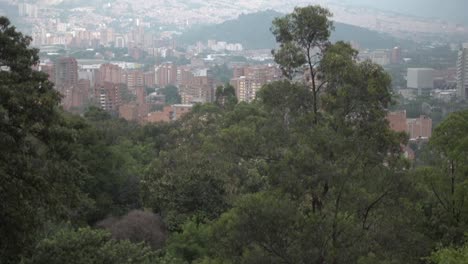 Medellin