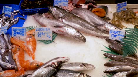 Zähler-mit-Meeresfrüchten-in-La-Boqueria-Fischmarkt.-Barcelona.-Spanien