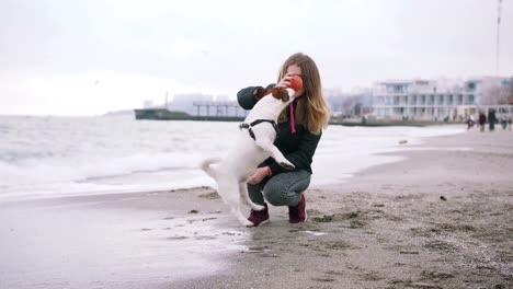 Junge-Frau-mit-Hund-Jack-Russel-am-Strand-am-Meer,-Zeitlupe-spielen