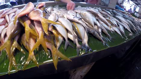 variedad-de-peces-pequeños-que-venden-en-el-mercado