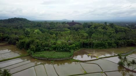 Aerial-view-drone-shot-of-Borobudur-temple-in-Java-at-sunrise,-Indonesia-Travel-religion-drone-concept-4K-resolution