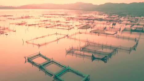 Rowo-Apung-Floating-Place-Jombor-Klaten-fishing-pond-aerial-view-at-sunrise,-Yogyakarta,-Indonesia