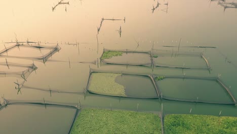 Rowo-Apung-Floating-Place-Jombor-Klaten-fishing-pond-aerial-view-at-sunrise,-Yogyakarta,-Indonesia