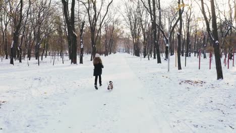 Junge-Frau-rennt-mit-Jack-Russell-Terrier-in-der-Winterzeit-durch-Park,-Luftaufnahme,-Drohne-footage