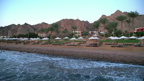 Egypt-Dahab-palm-trees-and-sea