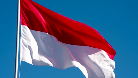 Bandera-del-estado-de-Indonesia