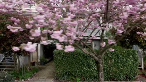 Houses-Blossoms-02