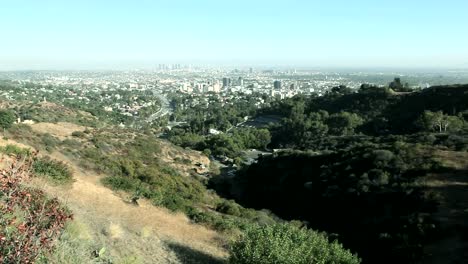 Hollywood-Hills