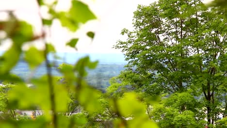 Wonderful-view-of-distant-fields