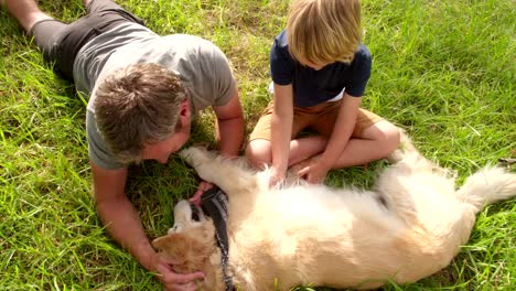 Papá-juega-con-su-hijo-lindo-y-su-perro-al-aire-libre