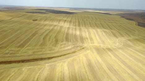 Aerial-view-of-a-hay-field,-days-after-harvest-on-a-cloudy-day